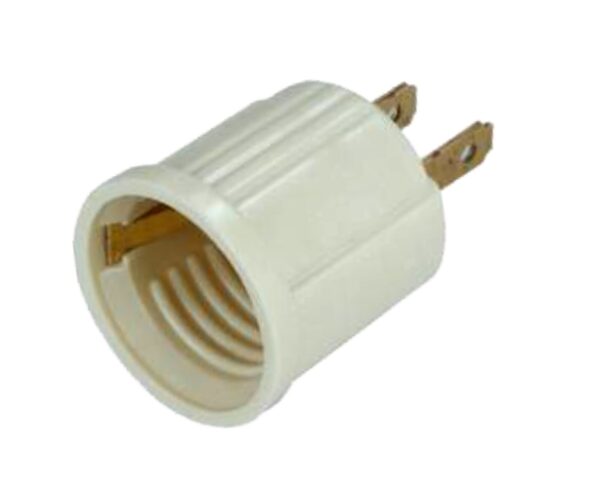 Socket con Clavija Color Marfil